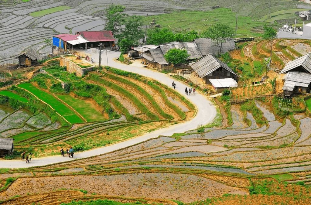 Nhà dân và ruộng bậc thang uốn quanh bản Lao Chải Sapa