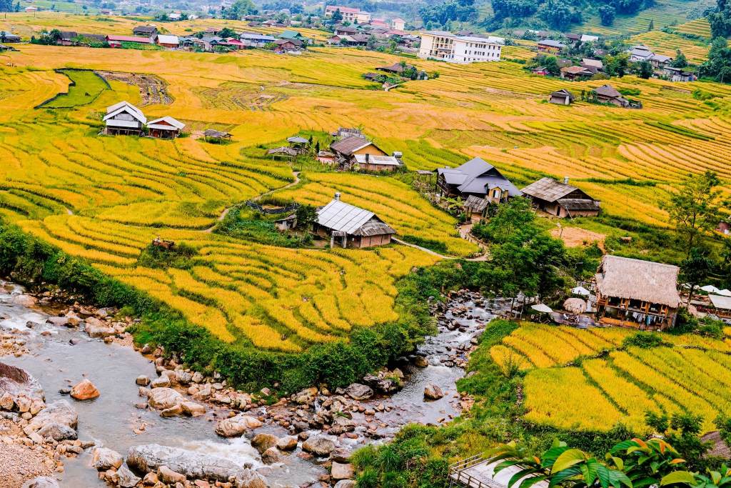 Ruộng bậc thang tại bản Lao Chải 