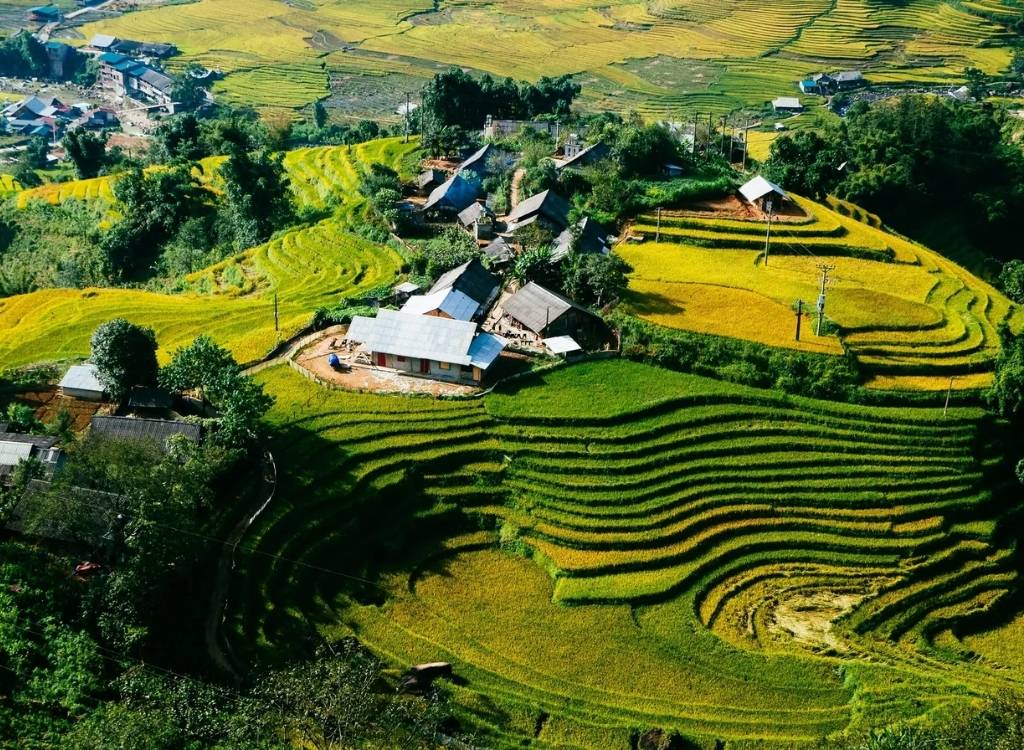 Ruộng bậc thang tại bản Tả Van