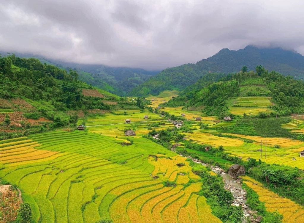 Ruộng bậc thang và suối Nậm Cang
