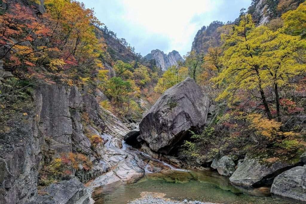 Thung lũng Cheonbuldong giữa rừng thu Seoraksan