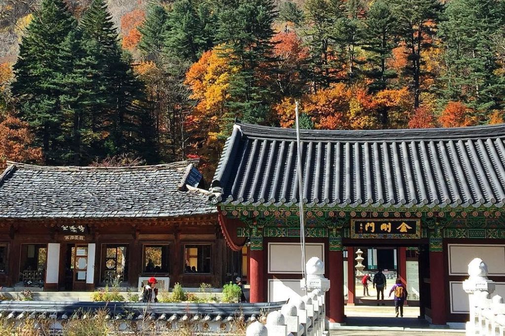 Tu viện Baekdamsa giữa rừng thu Seoraksan