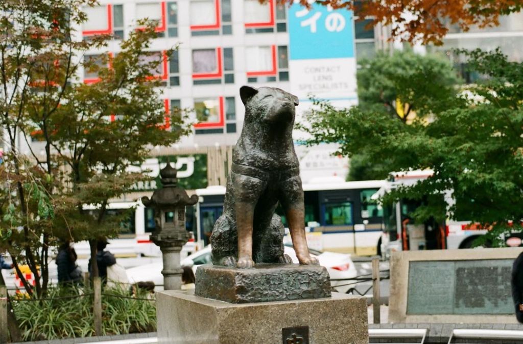 Tượng chó hachiko
