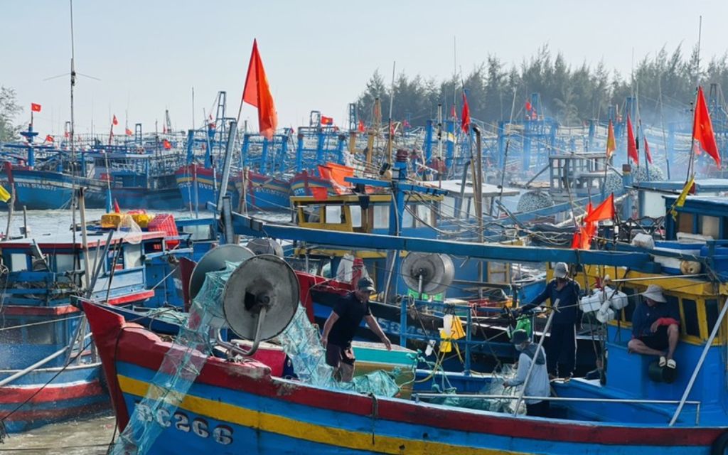 Cảng cá Bình Châu 