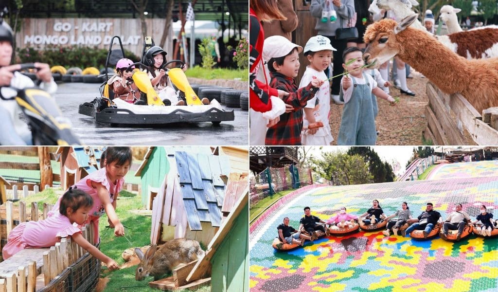 Các hoạt động vui chơi tại Mongo Land Đà Lạt
