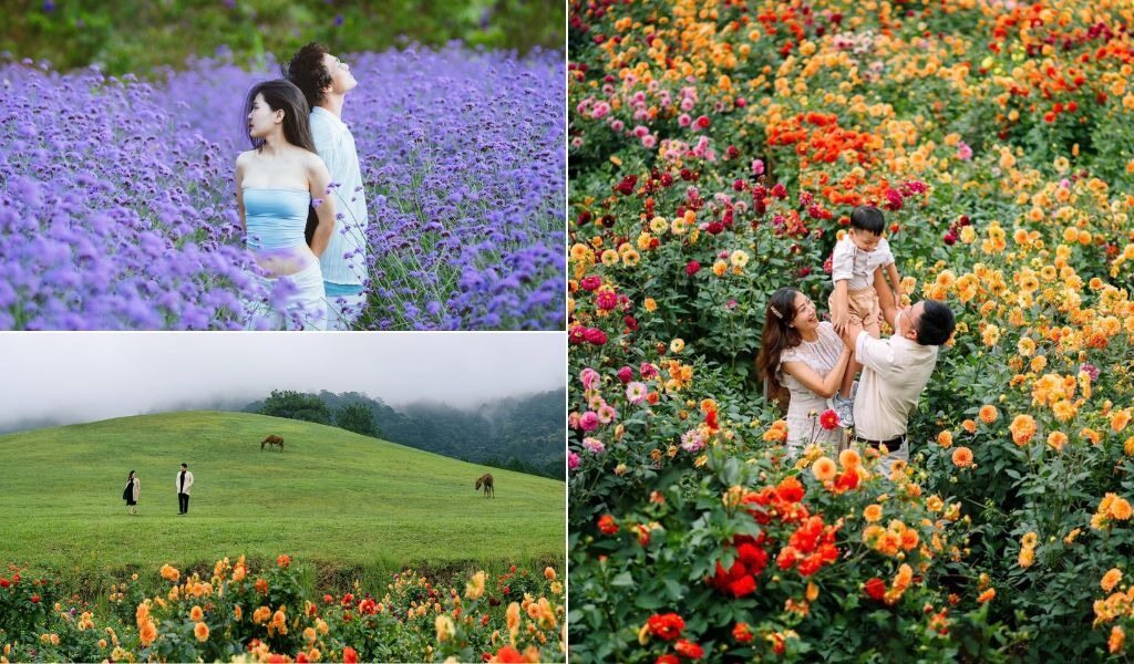  Vườn hoa tại The Florest Hoa Trong Rừng