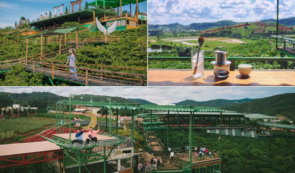 View đồi xanh tại Mê Linh Coffee Garden