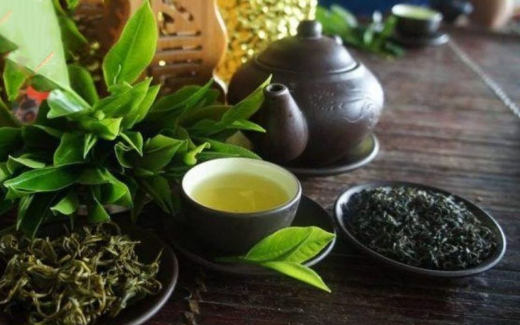 Trà Shan tuyết Tà Xùa 