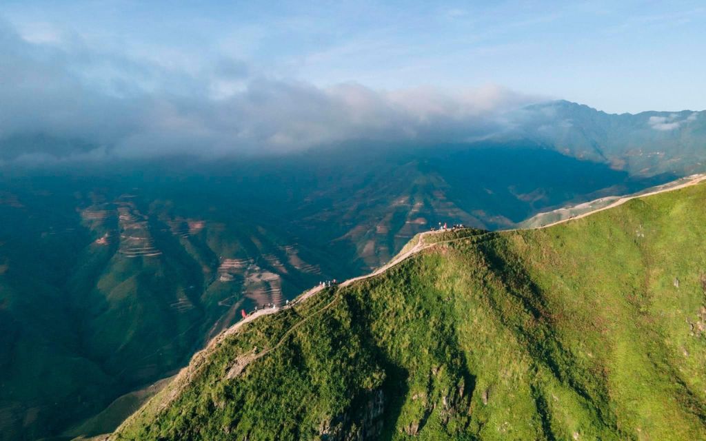 Sống lưng khủng long Háng Đồng