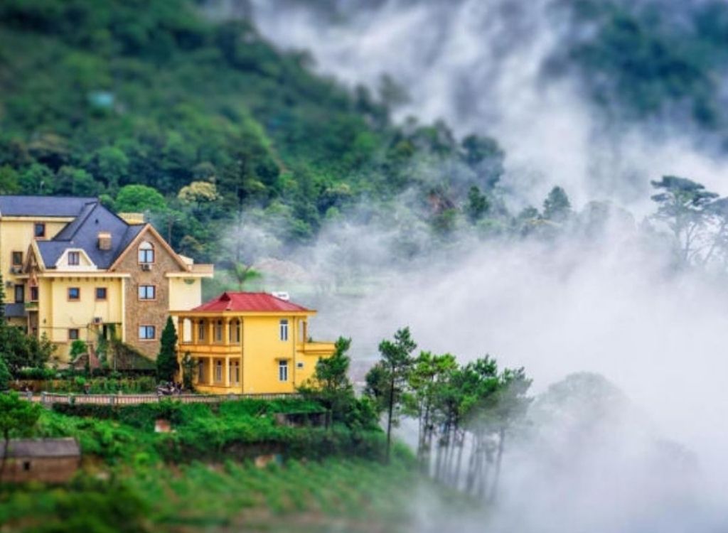 Tam Đảo phủ sương mờ