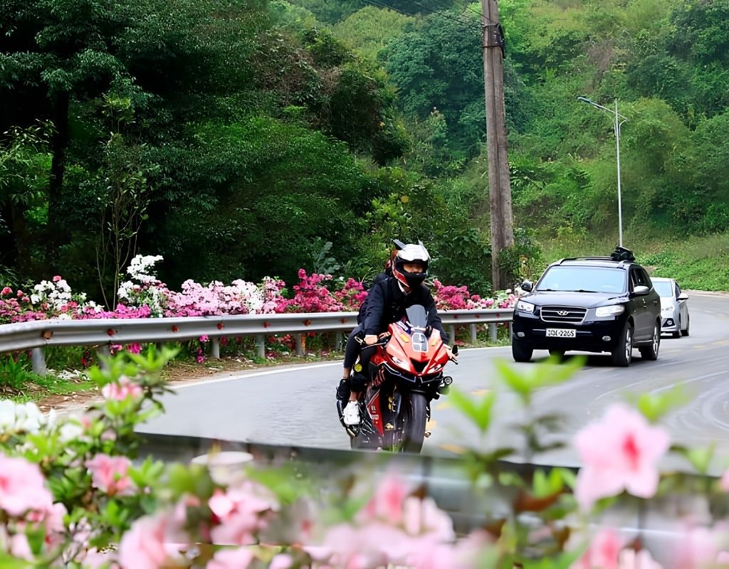 Đường đèo Tam Đảo