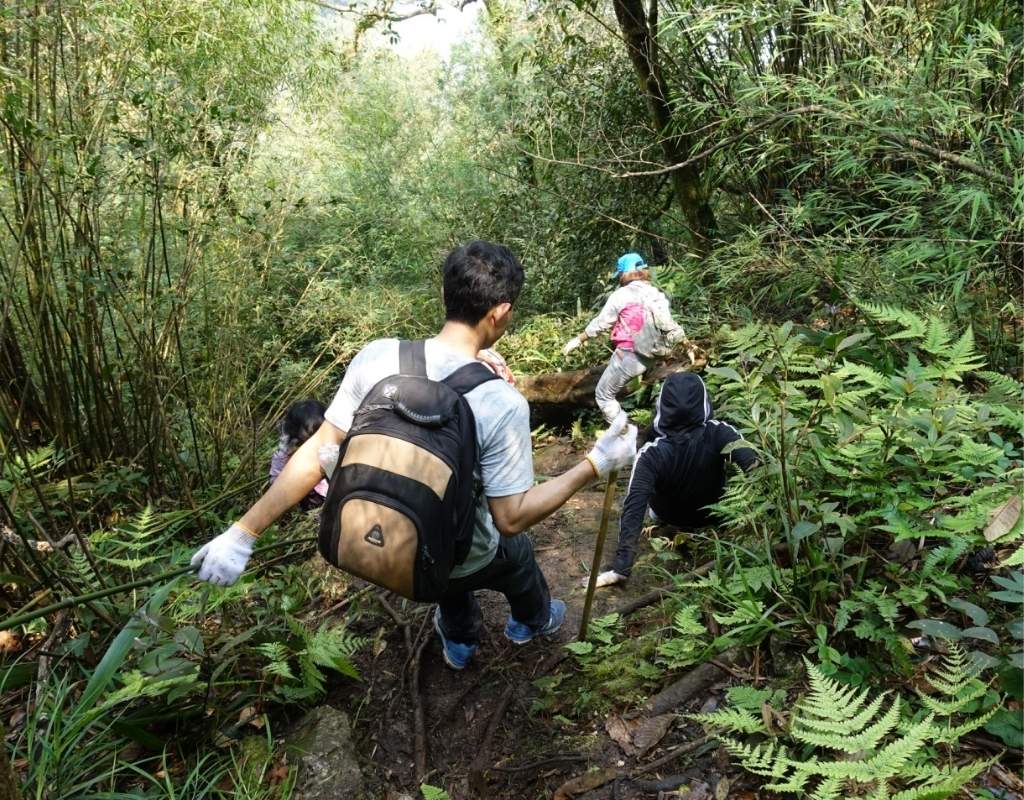 Trekking rừng Tam Đảo