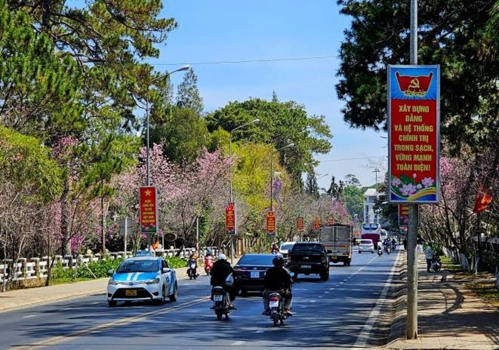 Taxi Đà Lạt đón khách du lịch tham quan thành phố 
