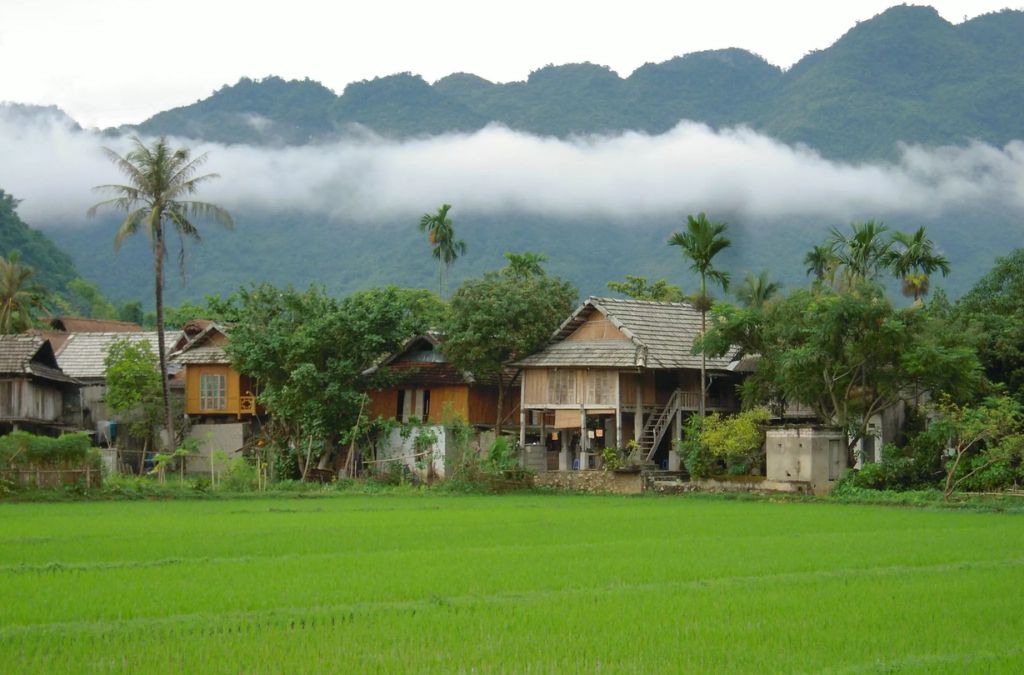 Bản làng Tây Bắc giữa cánh đồng và núi rừng