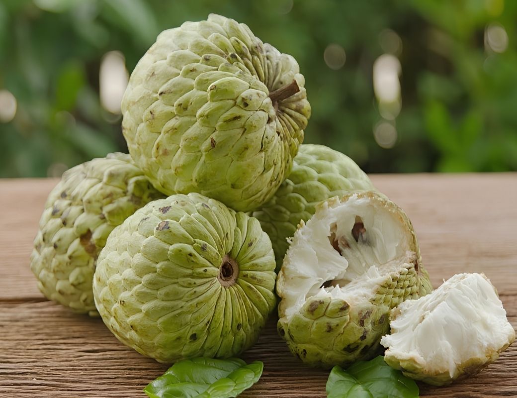 Mãng cầu Bà Đen đặc sản Tây Ninh. 