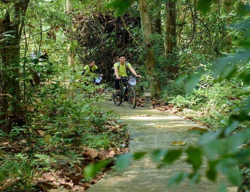 Cảnh rừng xanh tại Lò Gò - Xa Mát. 