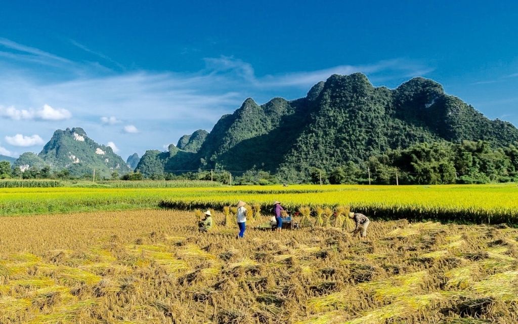 Ngày 1 lịch trình Thác Bản Giốc 2 ngày 1 đêm 