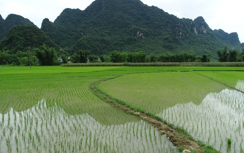 Ngày 2 lịch trình Thác Bản Giốc 2 ngày 1 đêm 