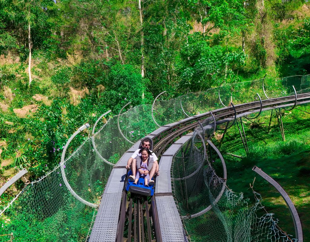 Máng trượt Alpine Coaster xuyên rừng tại thác Datanla