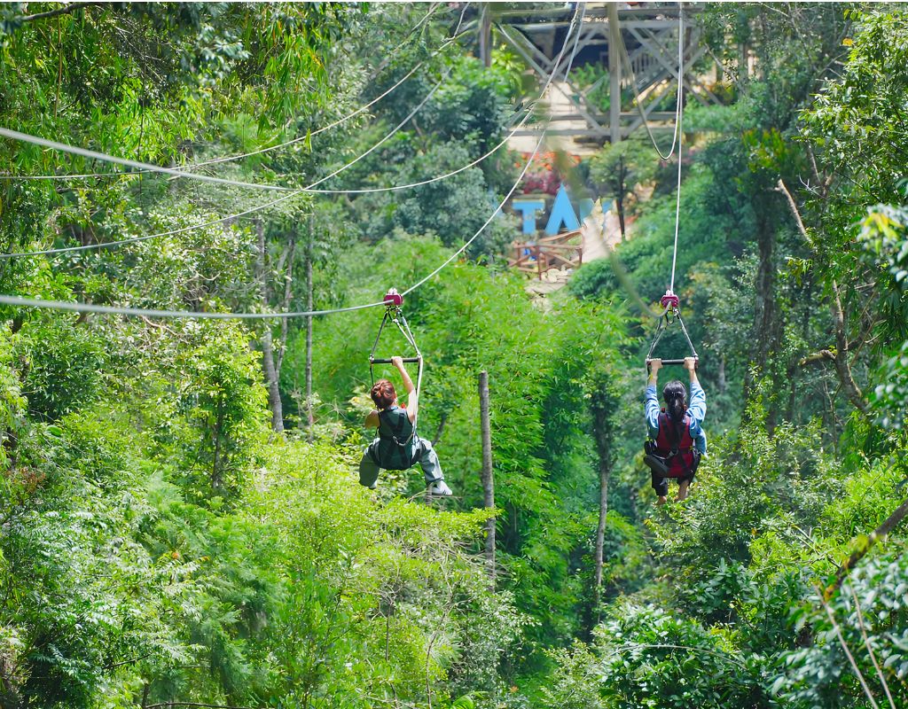Trải nghiệm Zipline xuyên rừng xanh
