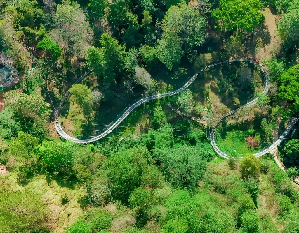 Máng trượt Alpine Coaster tại thác Datanla Đà Lạt
