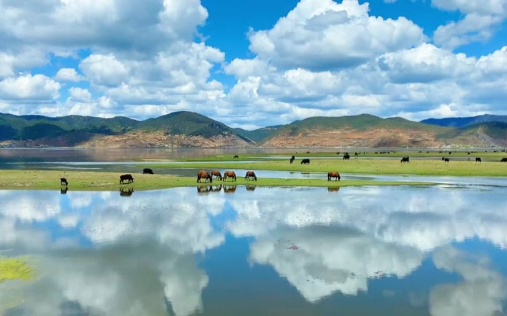 Hồ Napahai