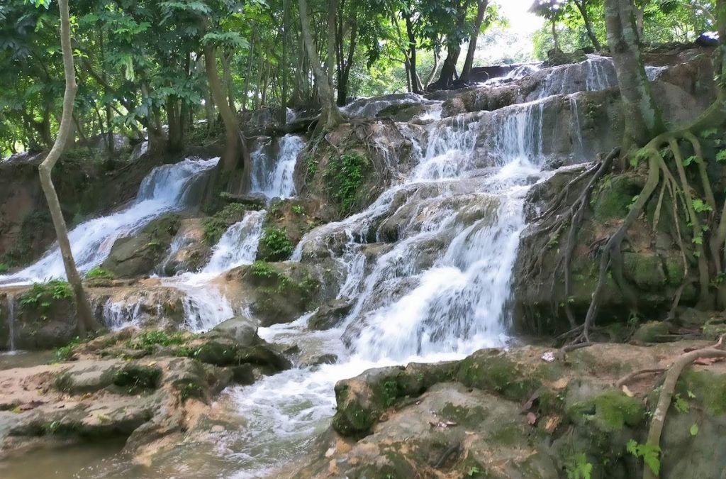 Thác Voi chảy qua những tầng đá giữa rừng cây