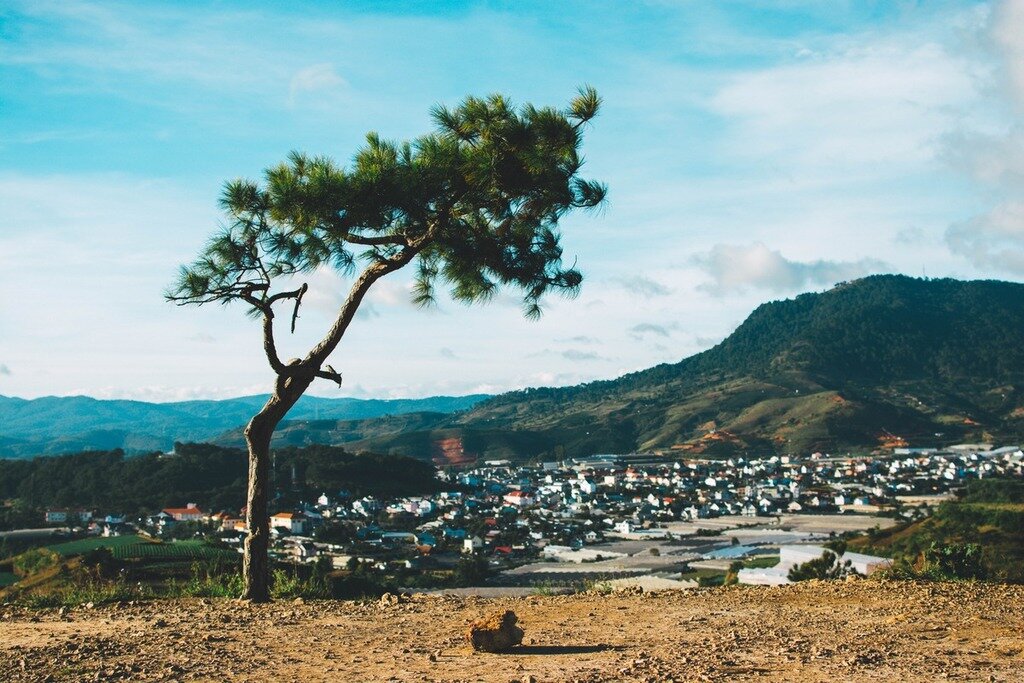 Tầm nhìn núi Langbiang từ đồi Thiên Phúc Đức 