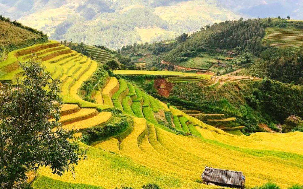 Mùa thu Sapa