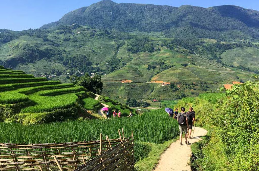 Người đi trekking trên đường mòn giữa ruộng bậc thang Mường Hoa