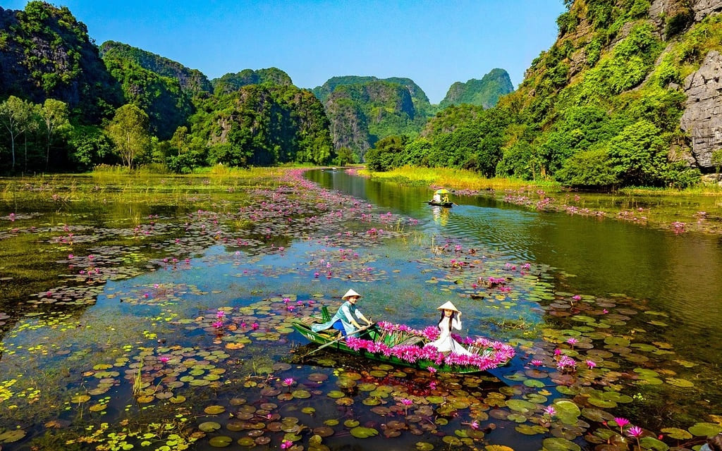 Check-in đầm hoa súng 