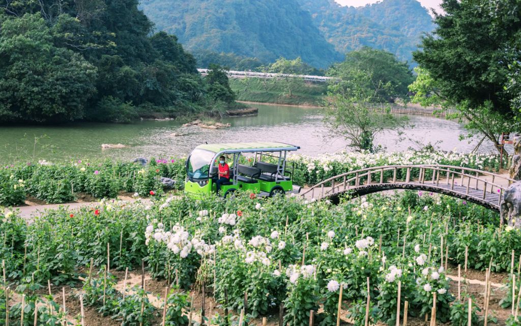 Xe điện di chuyển giữa vườn hoa tại khu du lịch Thung Nham