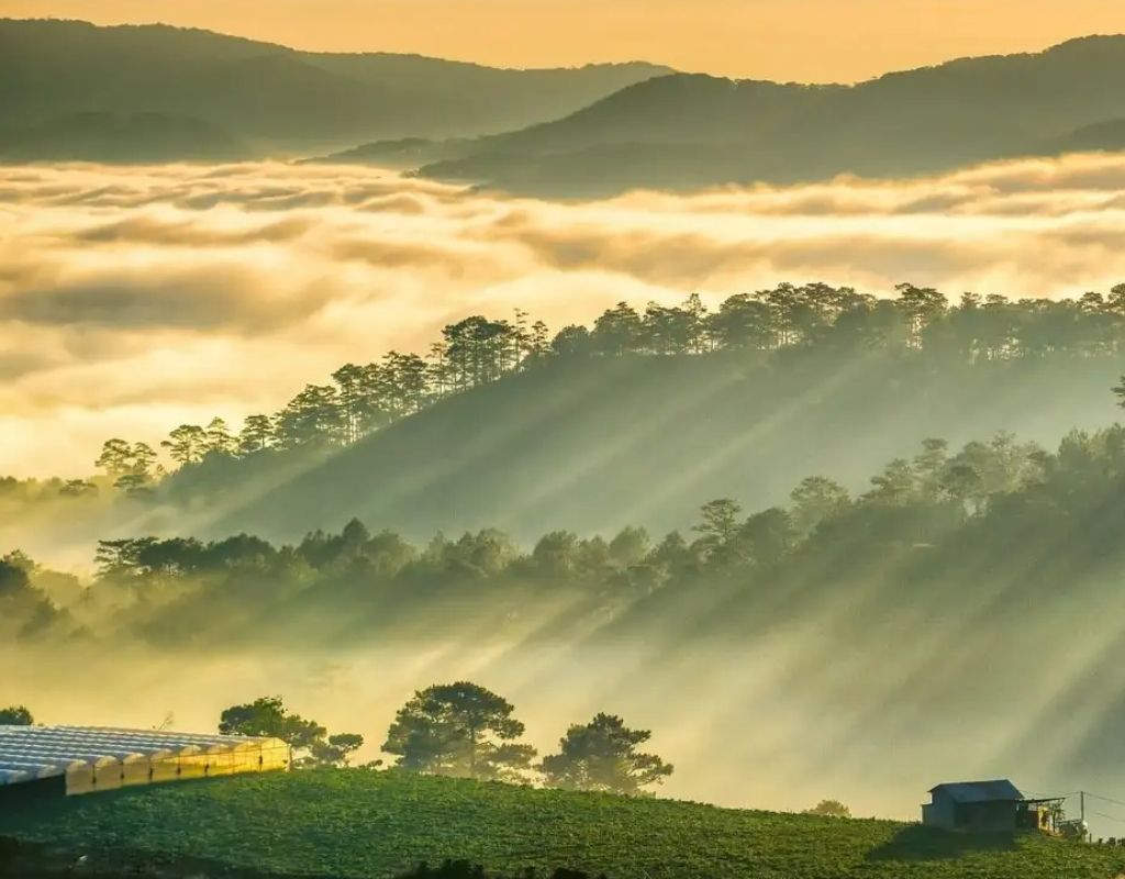 Trại Mát trong màn sương cuối năm
