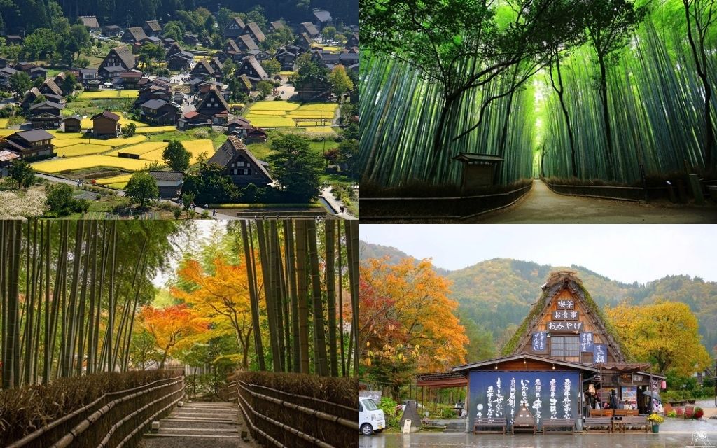Shirakawa-go và rừng tre Arashiyama 