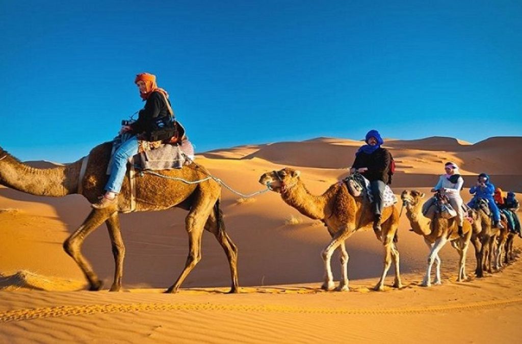 cưỡi lạc đà giữa sa mạc dubai
