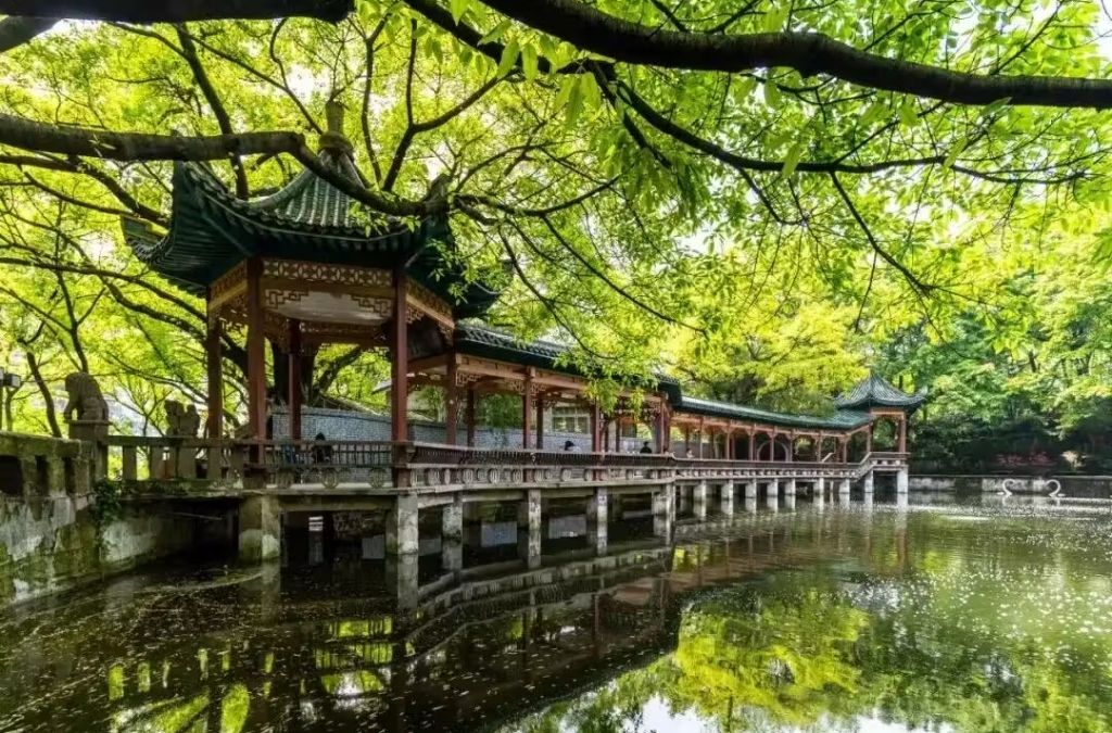 Lầu nghỉ bên hồ dưới tán cây xanh tại Công viên Eling