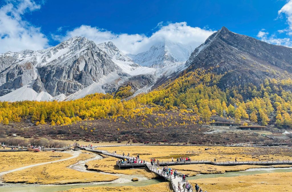 Thung lũng vàng dưới núi tuyết Daocheng Yading