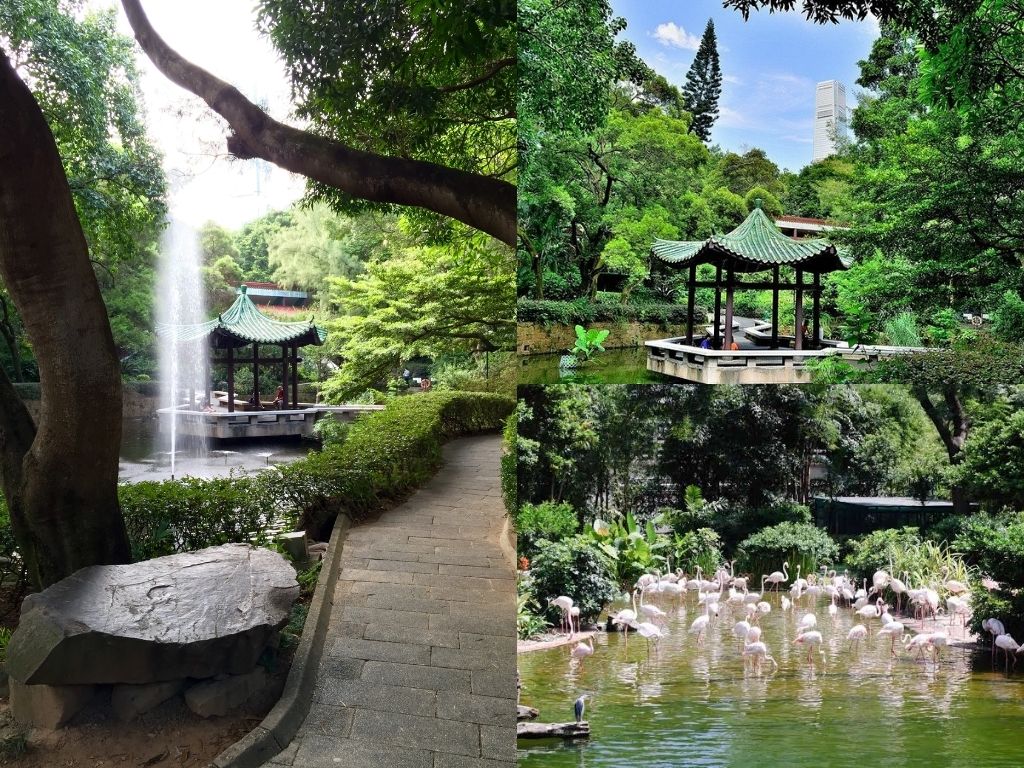 Không gian xanh tại Kowloon Park