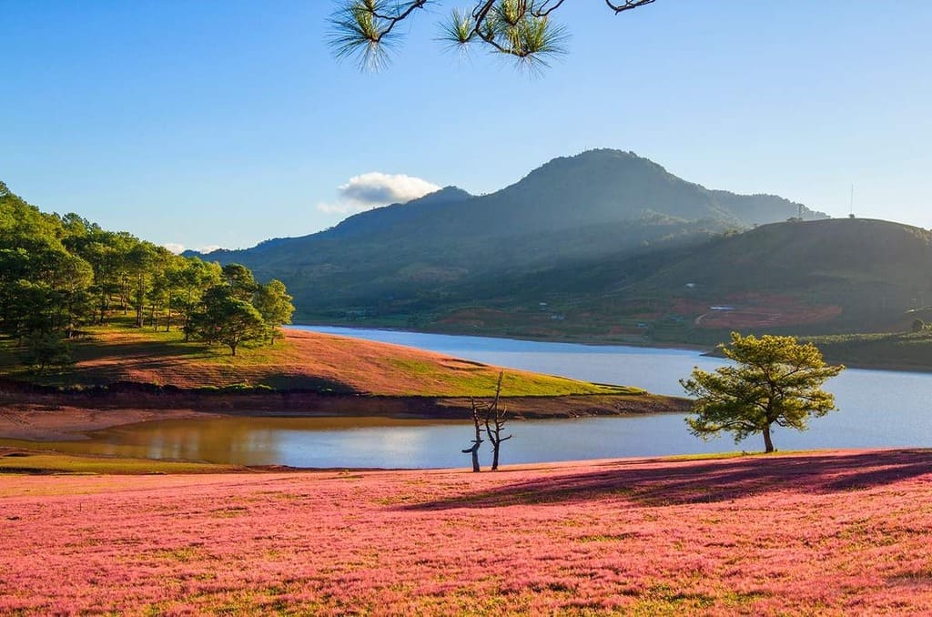 Hồ Đankia – Suối Vàng Đà Lạt trong chiều mây