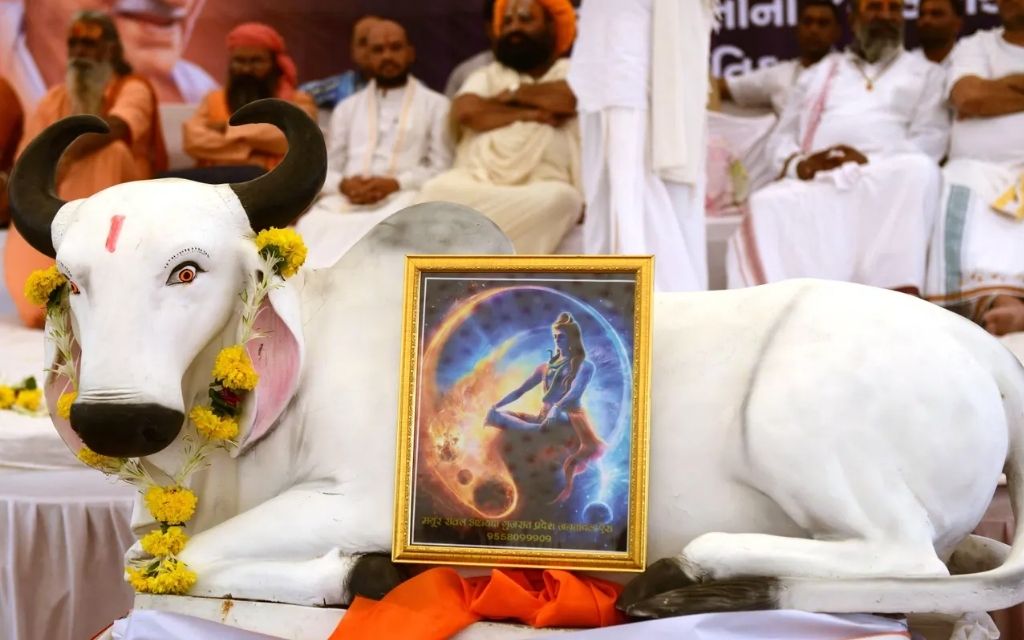 Bò trong Hindu giáo