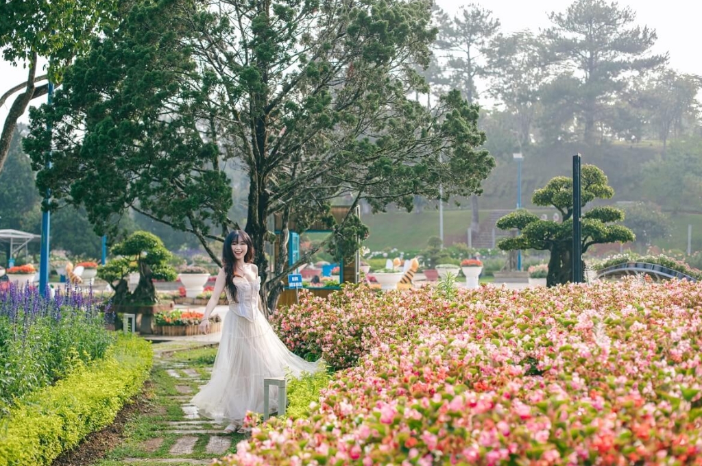 Chụp ảnh tại Vườn hoa thành phố Đà Lạt
