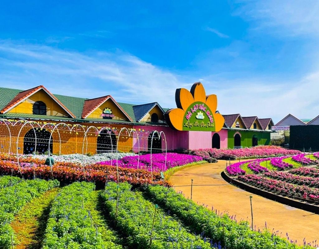Làng hoa Vạn Thành với những luống hoa trong nhà kính.