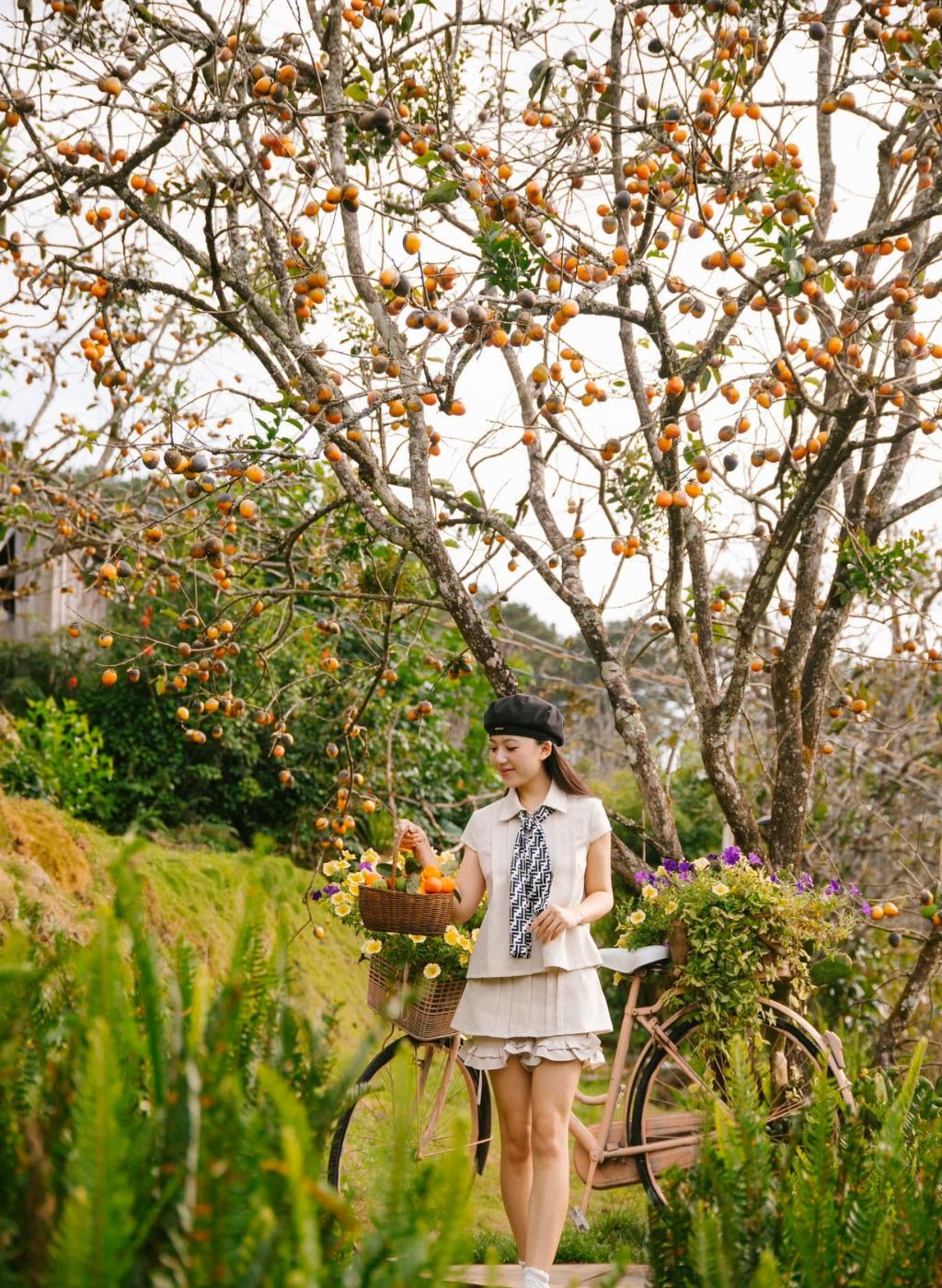 Vườn Hồng Trên Mây Đà Lạt nhìn ra thung lũng