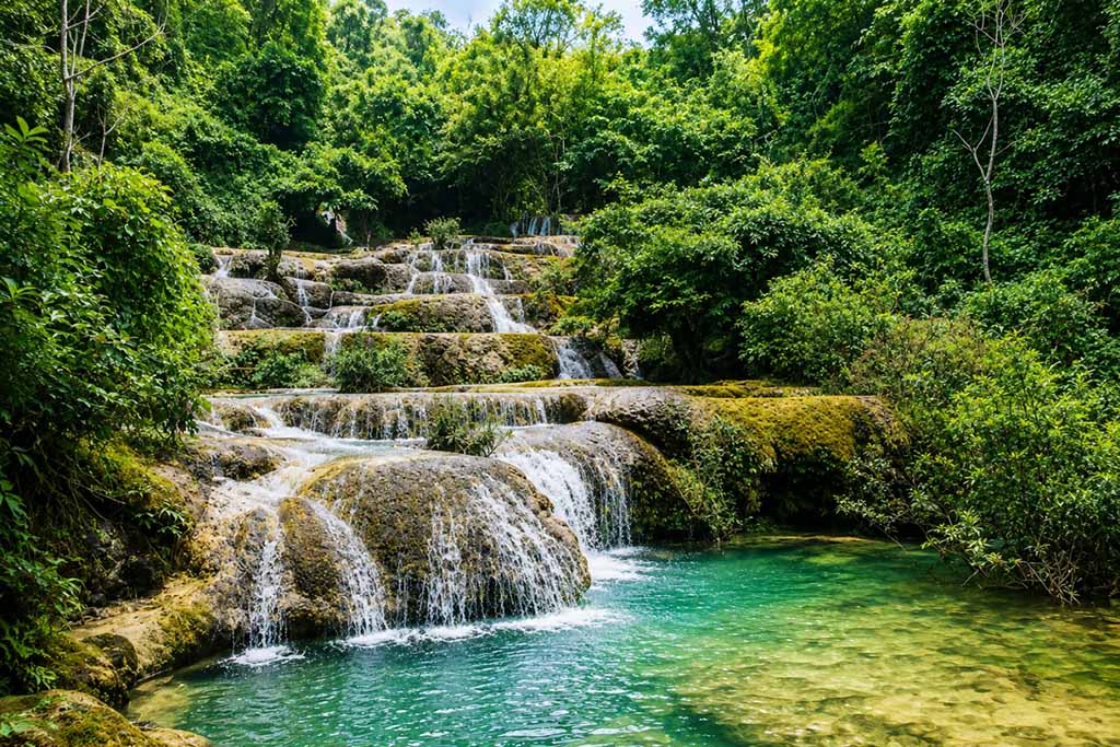 Những khung cảnh thiên nhiên xanh mát tạo nên sức hút riêng cho Cúc Phương.