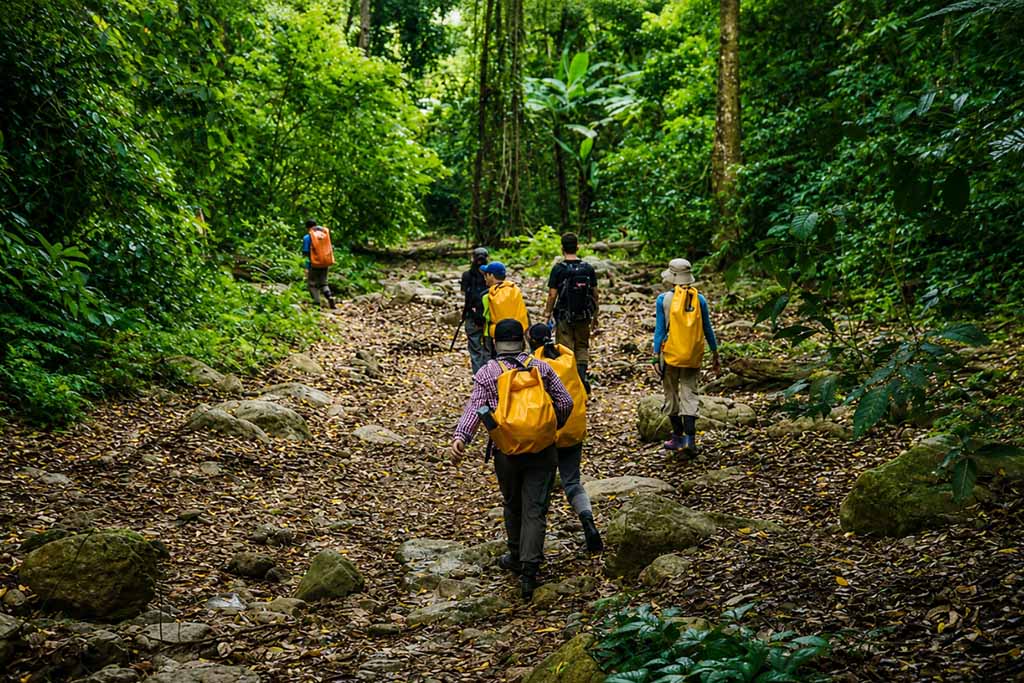 Trekking là hoạt động được nhiều người yêu thích khi đến Cúc Phương.