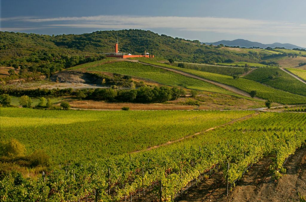 Những hàng nho xanh trải dài trên vùng đồi Chianti ở Tuscany