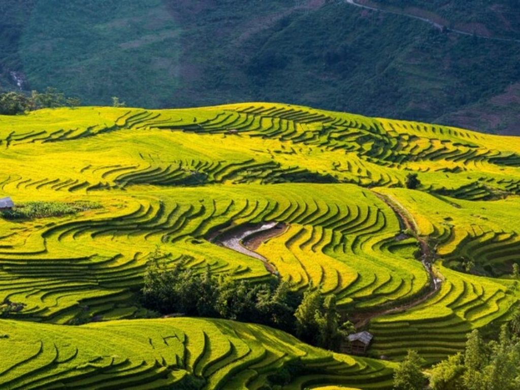 Vẻ đẹp nguyên sơ của Y Tý Lào Cai