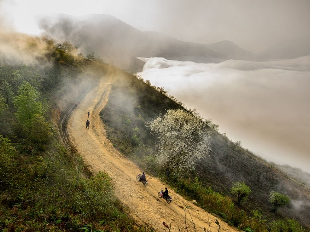 Ngải Thầu Y Tý săn mây