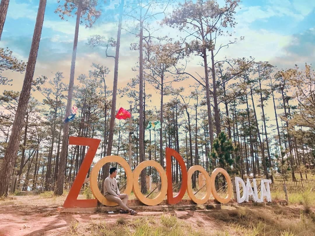 Vườn thú ZooDoo Đà Lạt giữa rừng thông