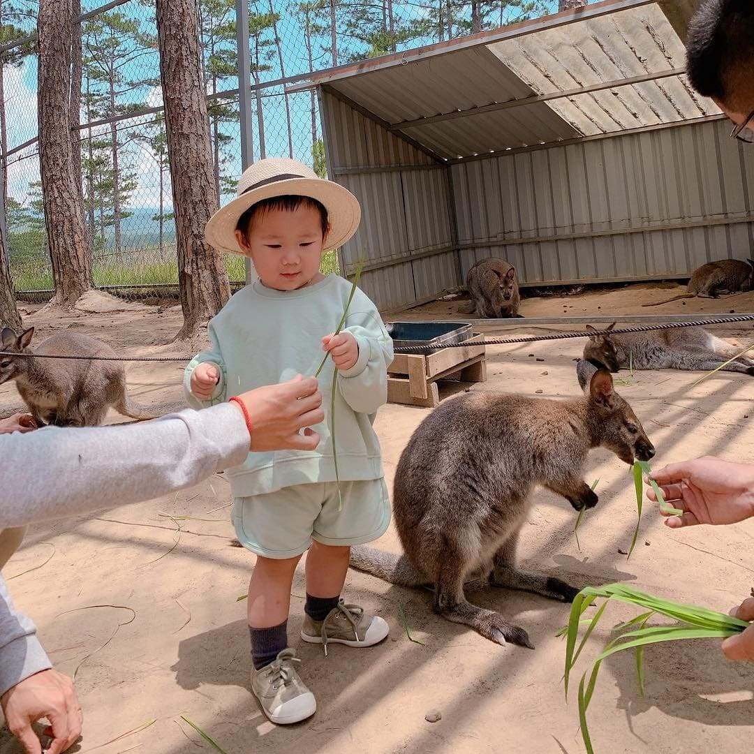 Trẻ em tham quan vườn thú ZooDoo Đà Lạt